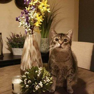 Meet your Posher, Deborah